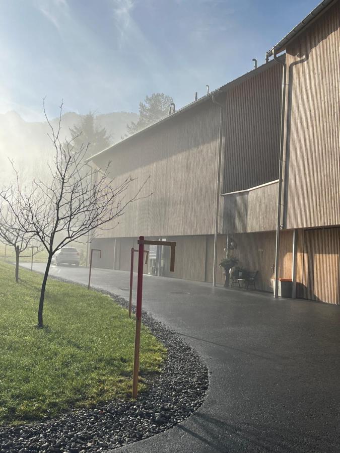 Bergluft Apartment Mellau Exterior photo